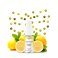 Bonbon Citron 10ml - Roykin