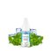 Menthe Glaciale 10ml - Roykin