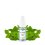 Triple Mint Nic Salts 10ml - Roykin