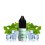 Menthol Original Nic Salt 10ml - ENFER POD by ENFER