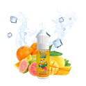 Salopiot 10ml - Liquidéo Freeze