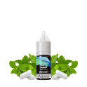 Gum Mint Nic Salt 20mg 10ml - Al Fakher
